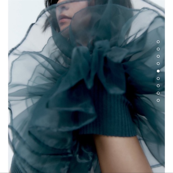 Zara Contrasting Organza Top - Picture 6 of 9